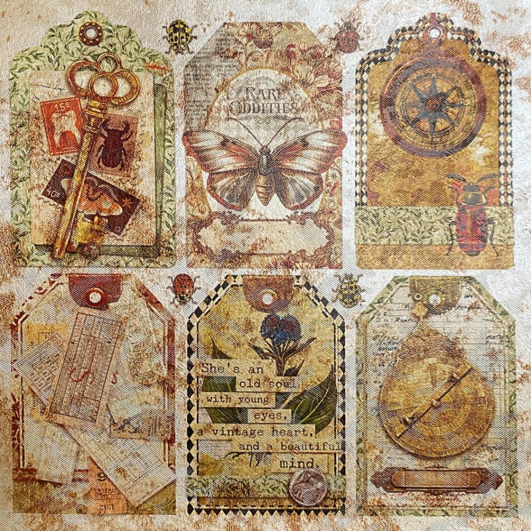 Deluxe Paper 15 x 15 cm - Pearl - Cabinet of Curiosities - 5 - pack - 5 - Ciao Bella - Tidformera