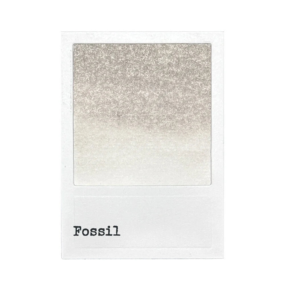 Dye Ink - Ranger - Fossil - 3 - 49 and Market - Tidformera