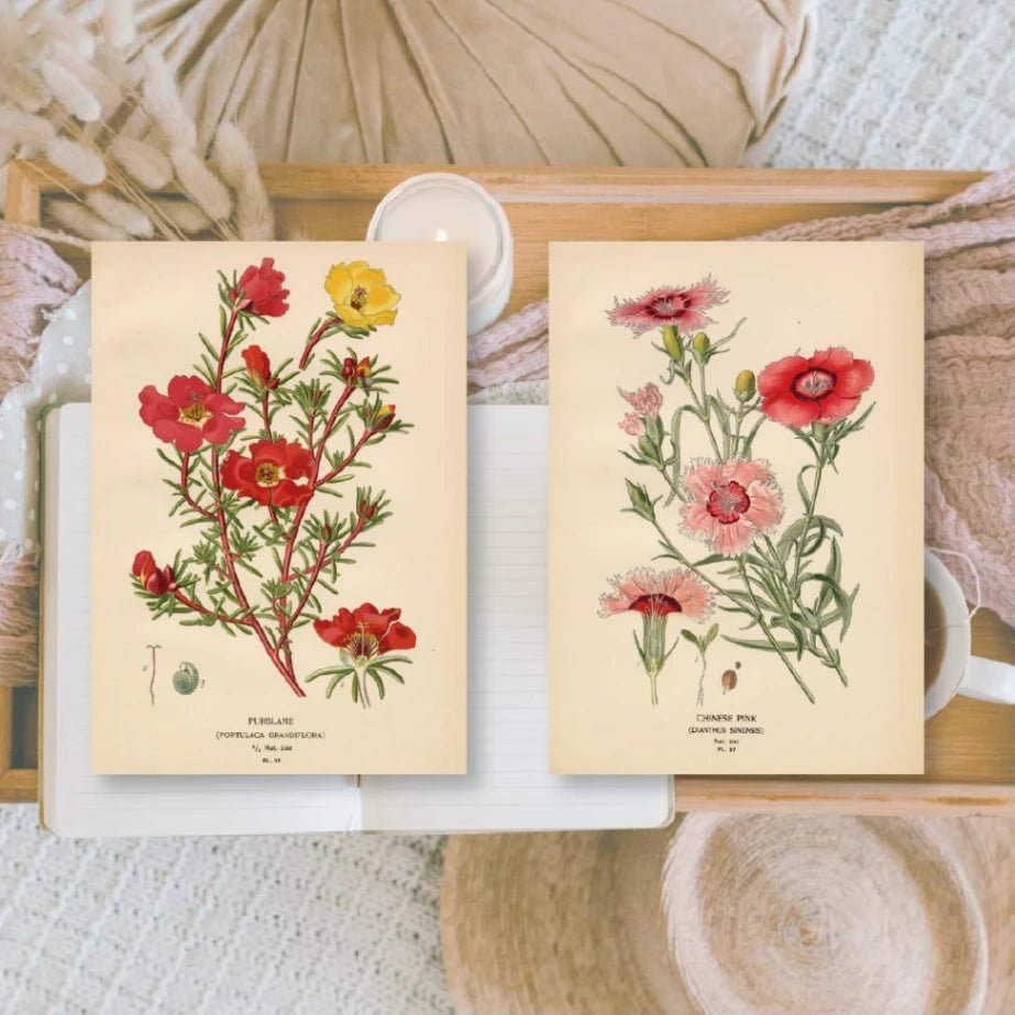 Ephemera Paper 7,4 x 10,5 - Botanicals - 4 - Plan & Plot Studio - Tidformera