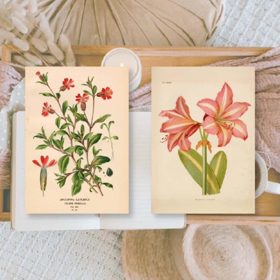 Ephemera Paper 7,4 x 10,5 - Botanicals - 3 - Plan & Plot Studio - Tidformera