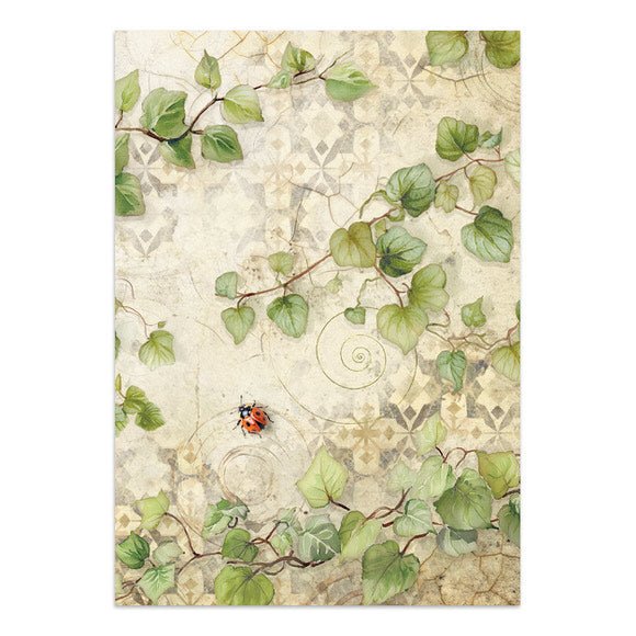 Focus points - Junk Journal - All Around - 12 - Stamperia - Tidformera