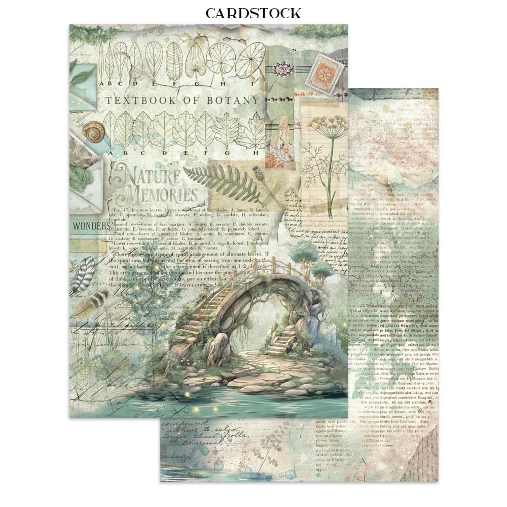 Junk Journal - Herbarium Silvae - 11 - Stamperia - Tidformera