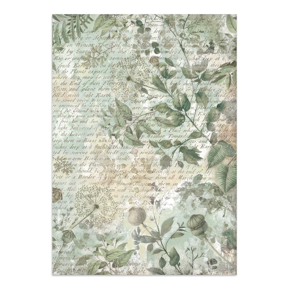 Junk Journal - Herbarium Silvae - 12 - Stamperia - Tidformera