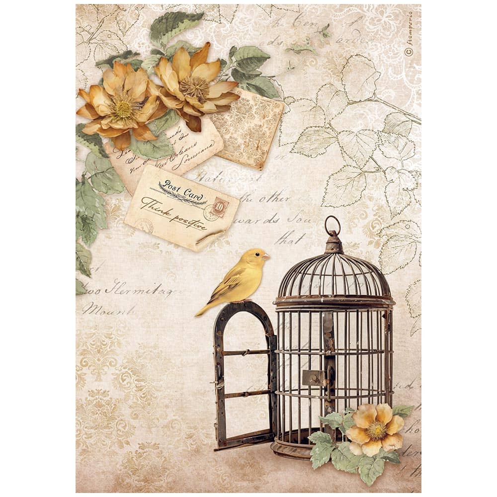 Rice Paper A4 - Golden Harmony - Cage - 1 - Stamperia - Tidformera
