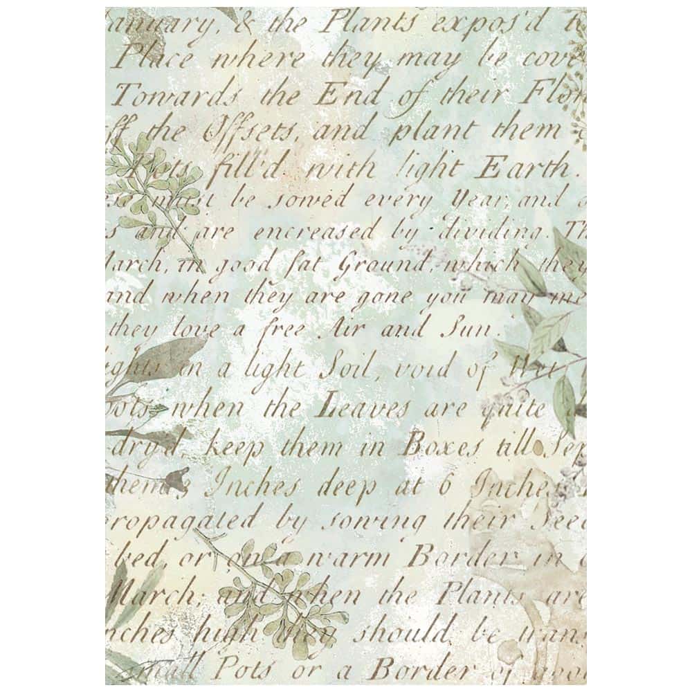 Rice Paper A6 - Herbarium Silvae - Backgrounds - 8 - pack - 8 - Stamperia - Tidformera