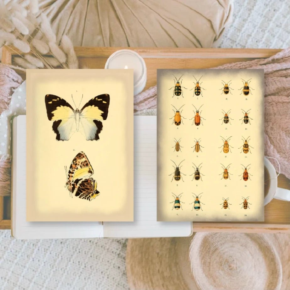 Scrap Paper 7,4 x 10,5 - Vintage Insects - 5 - Plan & Plot Studio - Tidformera