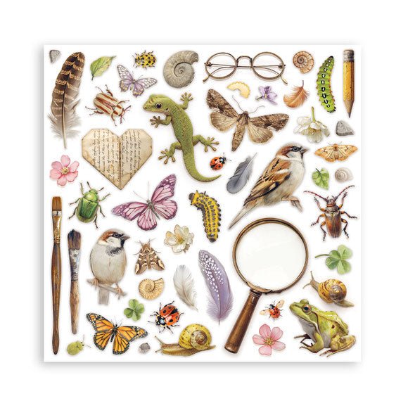 Scrapbookingpapper - Double faced - All Around - 34 - Stamperia - Tidformera