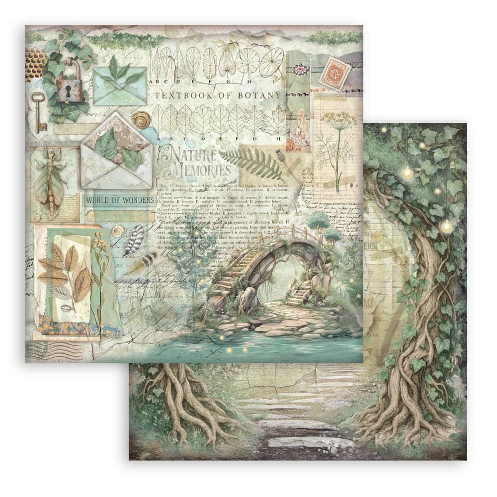 Scrapbookingpapper - Herbarium Silvae - Double faced - 5 - Stamperia - Tidformera
