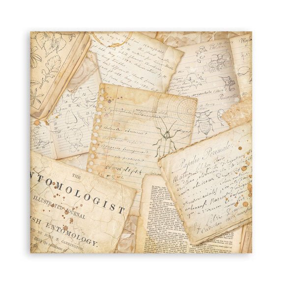 Scrapbookingpapper - Maxi Pad - All Around - 10 - Stamperia - Tidformera