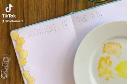 Video - Dagens höjdpunkter i min Bullet Journal - Tidformera