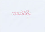 Handskriven text med ordet "carnation" i nejlikerosa färg, skriven med ABT Dual Brush Pen i nyansen 761 Carnation.