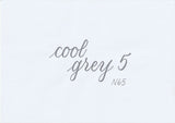 Handskriven text med orden "cool grey 5" i kall grå färg, skriven med ABT Dual Brush Pen i nyansen N65 Cool Grey 5.