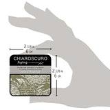 Chiaroscuro Aging Ink pad - Olive Orchard - 5 - Ciao Bella - Tidformera