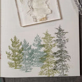 Clear stamps - Winter Etchings - 2 - Arden Creative Studio - Tidformera