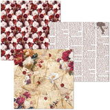 Deluxe & Vellum Dual pack 15 x 15 cm - 6 - pack Book Lovers - 3 - Ciao Bella - Tidformera