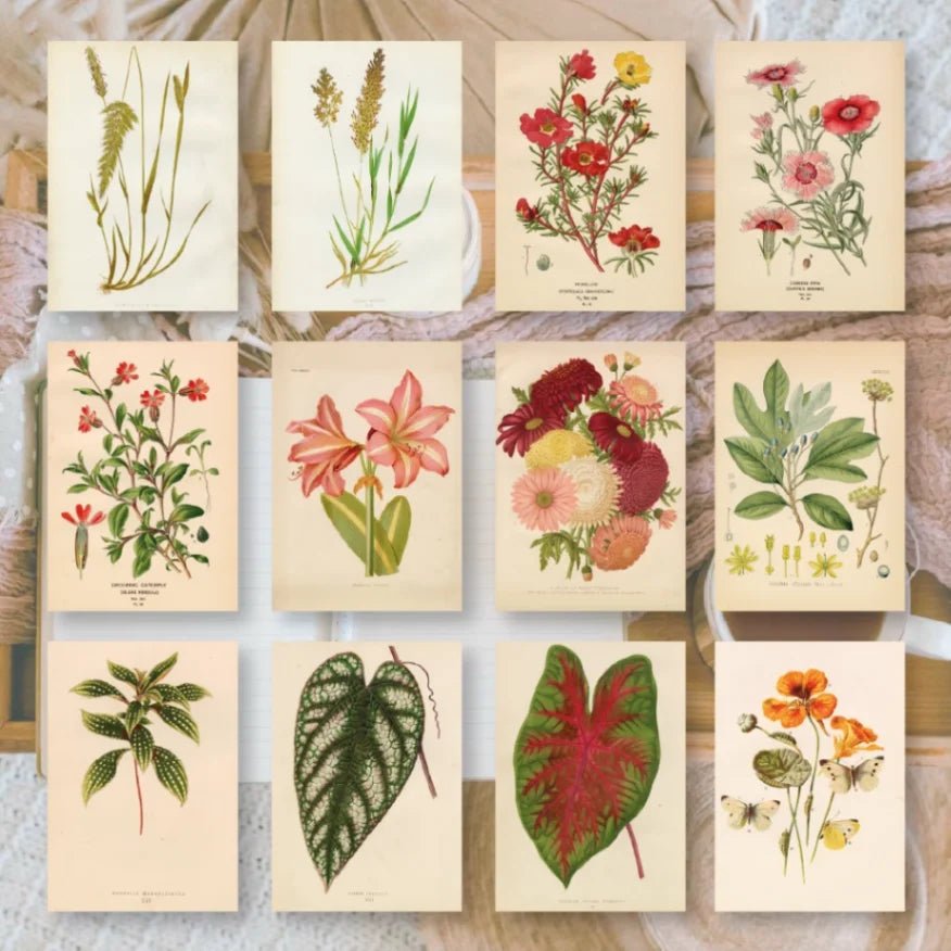 Ephemera Paper 7,4 x 10,5 - Botanicals - 1 - Plan & Plot Studio - Tidformera