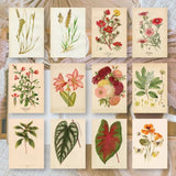 Ephemera Paper 7,4 x 10,5 - Botanicals - 1 - Plan & Plot Studio - Tidformera