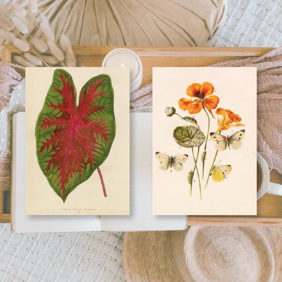 Ephemera Paper 7,4 x 10,5 - Botanicals - 8 - Plan & Plot Studio - Tidformera