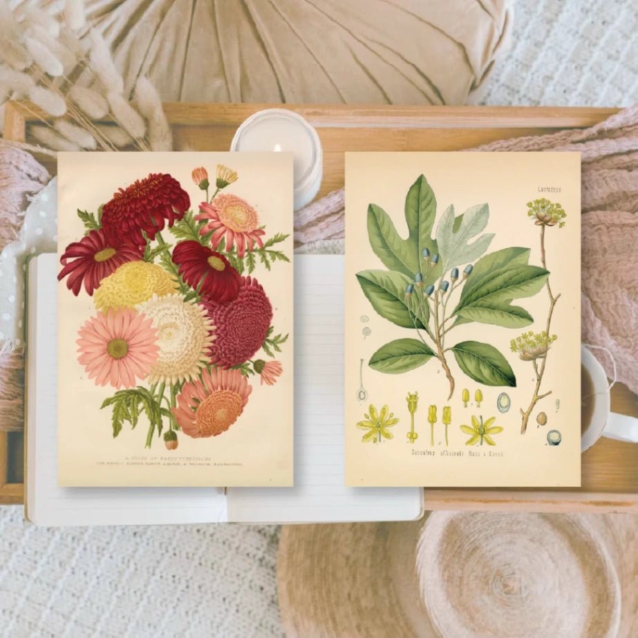 Ephemera Paper 7,4 x 10,5 - Botanicals - 2 - Plan & Plot Studio - Tidformera