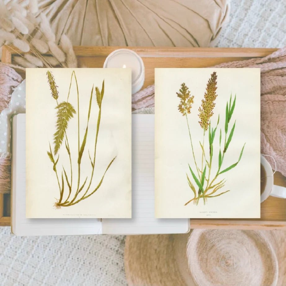 Ephemera Paper 7,4 x 10,5 - Botanicals - 7 - Plan & Plot Studio - Tidformera
