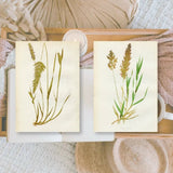 Ephemera Paper 7,4 x 10,5 - Botanicals - 7 - Plan & Plot Studio - Tidformera