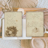 Ephemera Paper 7,4 x 10,5 - Old Diary - 2 - Plan & Plot Studio - Tidformera