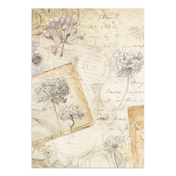 Focus points - Junk Journal - All Around - 18 - Stamperia - Tidformera