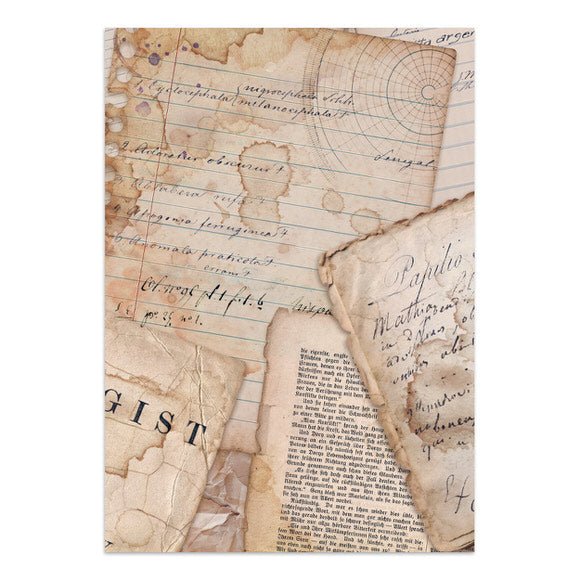 Focus points - Junk Journal - All Around - 6 - Stamperia - Tidformera