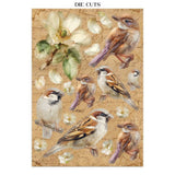 Focus points - Junk Journal - All Around - 34 - Stamperia - Tidformera