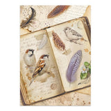 Focus points - Junk Journal - All Around - 5 - Stamperia - Tidformera