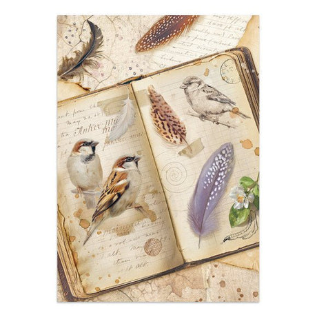 Focus points - Junk Journal - All Around - 5 - Stamperia - Tidformera