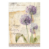 Focus points - Junk Journal - All Around - 17 - Stamperia - Tidformera