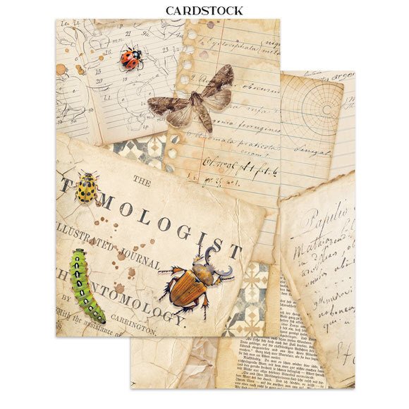 Focus points - Junk Journal - All Around - 19 - Stamperia - Tidformera