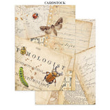 Focus points - Junk Journal - All Around - 19 - Stamperia - Tidformera