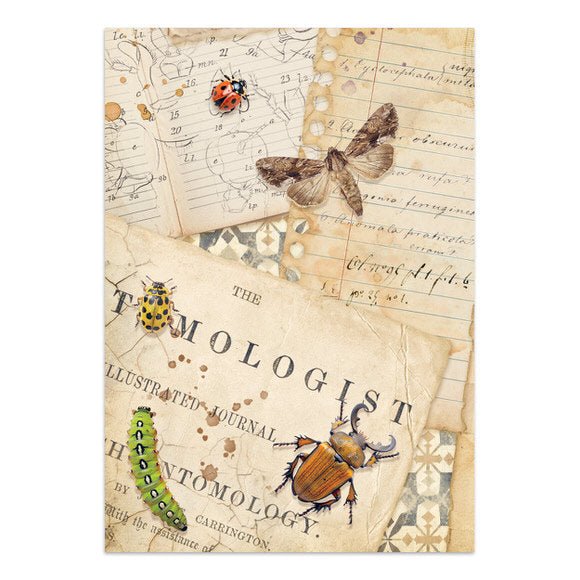 Focus points - Junk Journal - All Around - 20 - Stamperia - Tidformera
