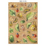 Focus points - Junk Journal - All Around - 30 - Stamperia - Tidformera