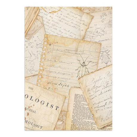 Junk Journal - All around - 35 - Stamperia - Tidformera