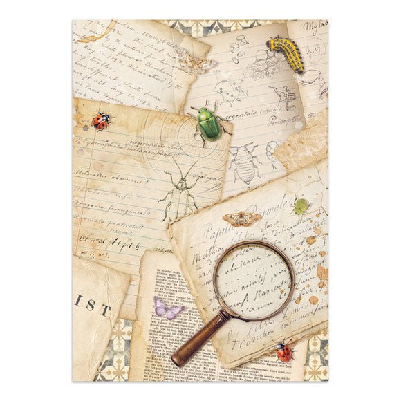 Junk Journal - All around - 18 - Stamperia - Tidformera