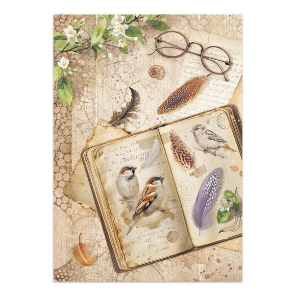 Junk Journal - All around - 14 - Stamperia - Tidformera