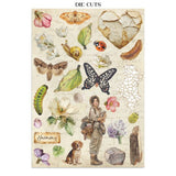 Junk Journal - All around - 12 - Stamperia - Tidformera