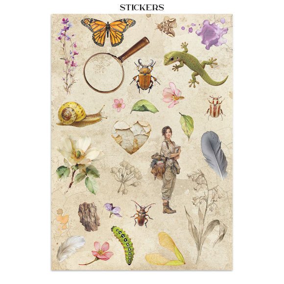 Junk Journal - All around - 19 - Stamperia - Tidformera