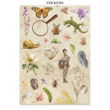 Junk Journal - All around - 19 - Stamperia - Tidformera