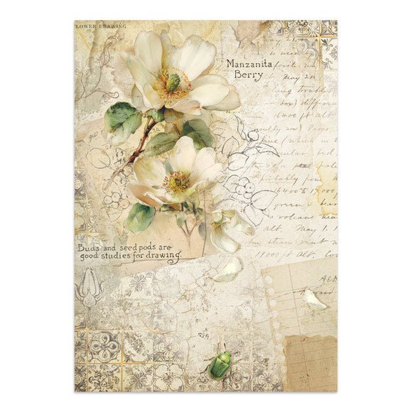 Junk Journal - All around - 25 - Stamperia - Tidformera