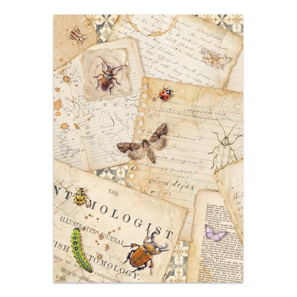 Junk Journal - All around - 17 - Stamperia - Tidformera