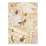 Junk Journal - All around - 17 - Stamperia - Tidformera
