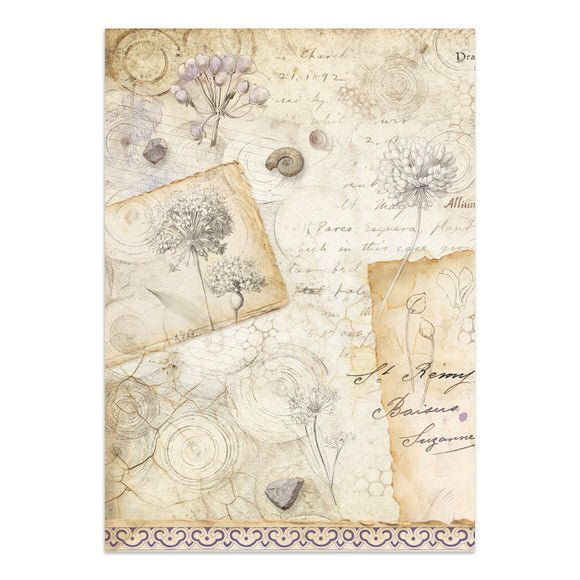 Junk Journal - All around - 5 - Stamperia - Tidformera