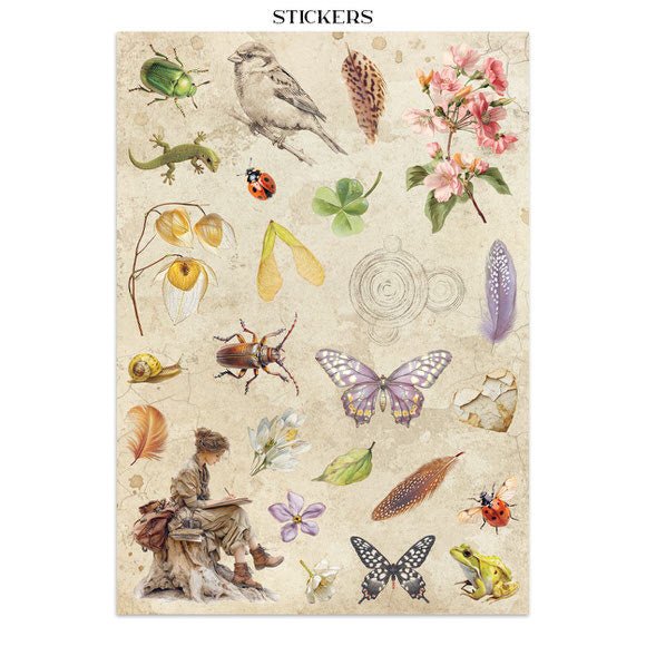 Junk Journal - All around - 9 - Stamperia - Tidformera
