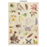 Junk Journal - All around - 9 - Stamperia - Tidformera