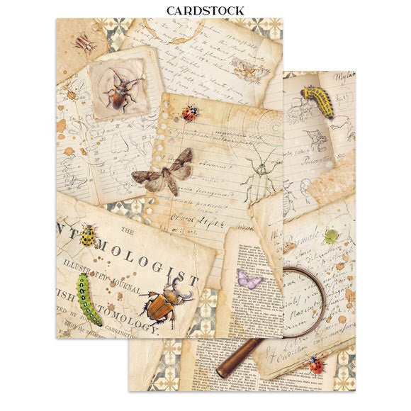 Junk Journal - All around - 16 - Stamperia - Tidformera