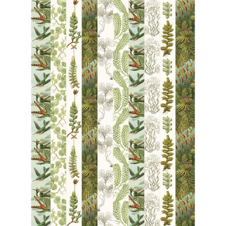 Pepin Labels, stickers & tape Sticker book - Art forms in nature - 3 - Pepin Press - Tidformera